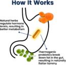 Better Body Co Provitalize Menopause Probiotic for Women - Boosts Metabolism & Energy, Reduces Hot Flashes