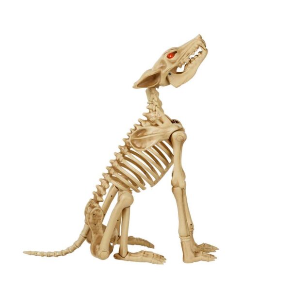 Brand 2.5 ft Animated Poseable Skeleton Wolf with Red LED Eyes Halloween Decor - Image 2