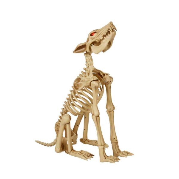 Brand 2.5 ft Animated Poseable Skeleton Wolf with Red LED Eyes Halloween Decor