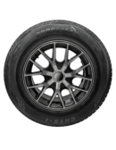 Crossmax CHTS-1 225/65R16 All-Season Passenger Tire - Premium Performance, Mud & Snow Rated