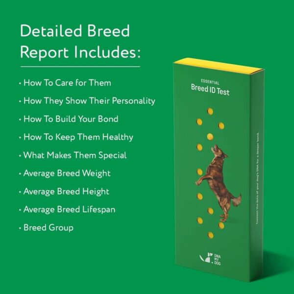 DNA My Dog Essential Breed ID Test - Accurate Dog Breed Identification & Personality Insights - Image 4