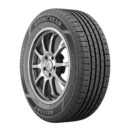 Goodyear Reliant All-Season Passenger Tire 205/55R16 91V - Wet Grip, Quiet Ride
