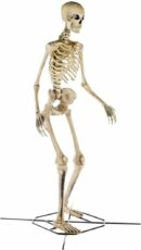 Home Accents 12 ft Giant Halloween Skeleton with LifeEyes, 95 lbs - Outdoor Decoration