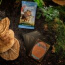 Magic: The Gathering Bloomburrow Play Booster Box - 36 Packs, 504 Cards, Foil & Art Cards, Multiple Rares, Perfect for Draft & Sealed Play