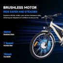 Mobo Adult Electric Tricycle 26/24" - 350W Motor, 36V Battery, 7-Speed, 3-Wheel Ebike with Basket