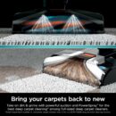 Shark CarpetXpert EX201 Carpet Cleaner, Cyan - Powerful Suction, StainStriker Tech, Pet Stain Removal, Includes Tools