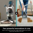 Shark CarpetXpert EX201 Carpet Cleaner, Cyan - Powerful Suction, StainStriker Tech, Pet Stain Removal, Includes Tools