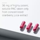 Solv Wellness Ellura 36mg PAC Urinary Tract Supplement - 90 Capsules