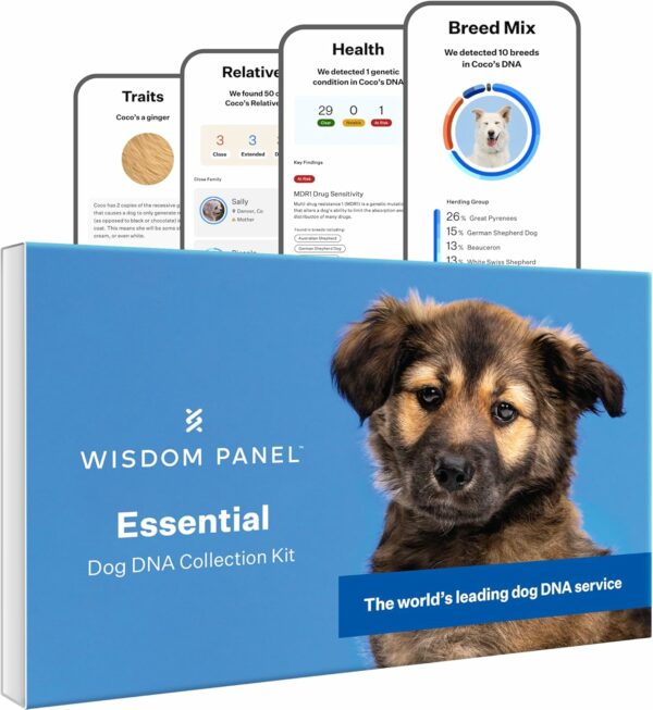 Wisdom Panel Essential Dog DNA Kit - 365+ Breeds, 30 Health Conditions, 50+ Traits, Ancestry Insights