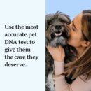 Wisdom Panel Essential Dog DNA Kit - 365+ Breeds, 30 Health Conditions, 50+ Traits, Ancestry Insights