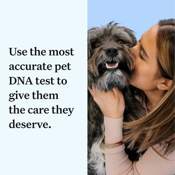 Wisdom Panel Essential Dog DNA Kit - 365+ Breeds, 30 Health Conditions, 50+ Traits, Ancestry Insights - Image 2