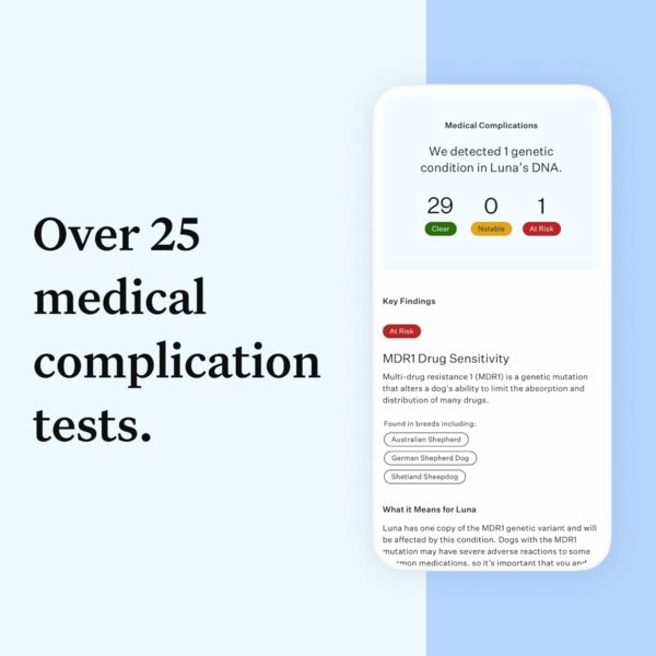 Wisdom Panel Essential Dog DNA Kit - 365+ Breeds, 30 Health Conditions, 50+ Traits, Ancestry Insights - Image 4
