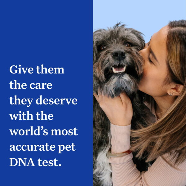 Wisdom Panel Essential Dog DNA Test Kit - 350+ Breeds & 25+ Health Conditions, Accurate Ancestry & Trait Insights - Image 2